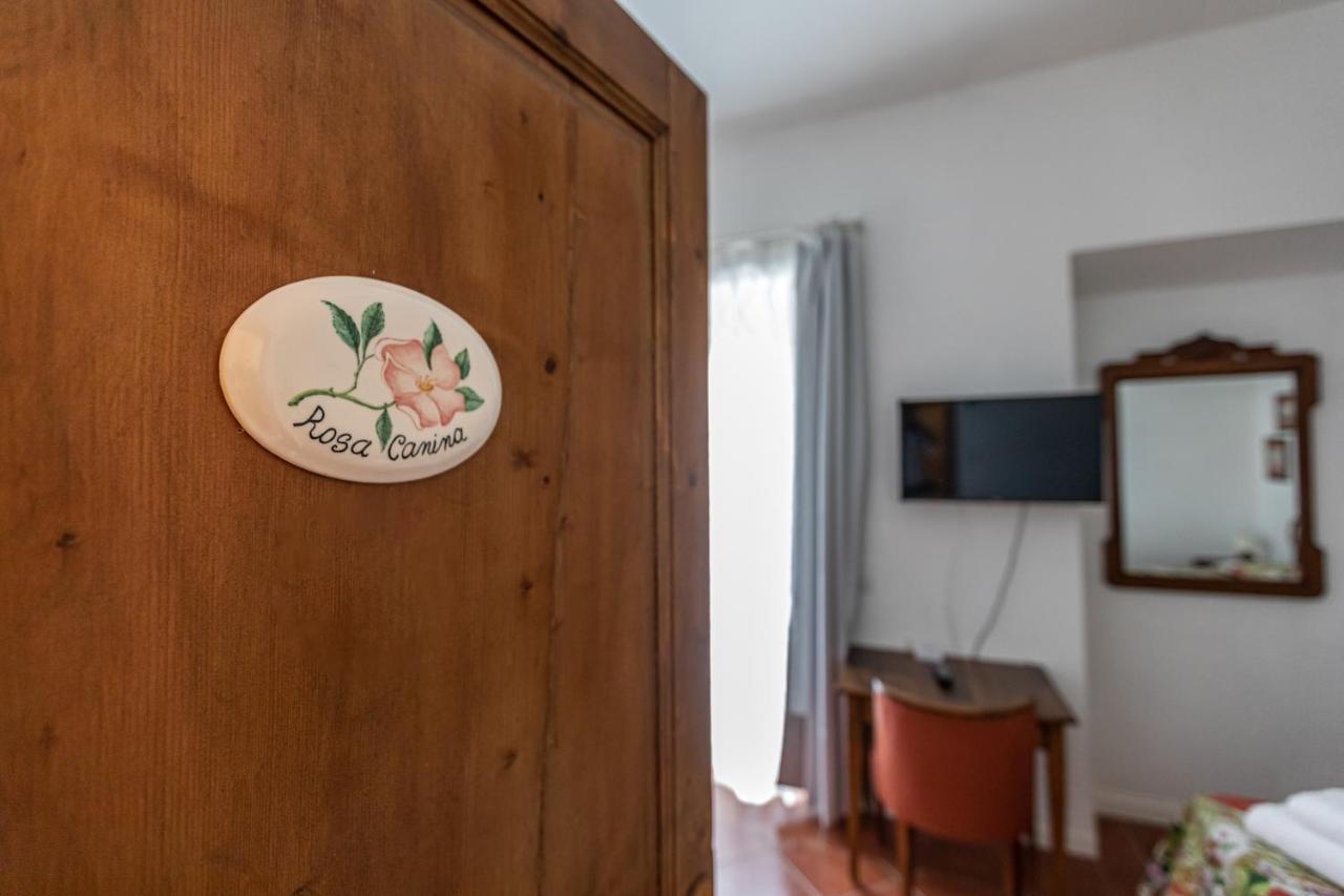 La Locanda Di Adele - Il Giardinetto B&B スカルペリーア エクステリア 写真