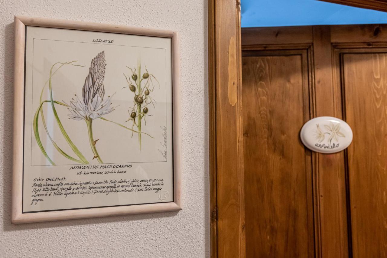La Locanda Di Adele - Il Giardinetto B&B スカルペリーア エクステリア 写真